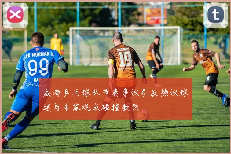 成都乒乓球队节奏争议引发热议球迷与专家观点碰撞激烈