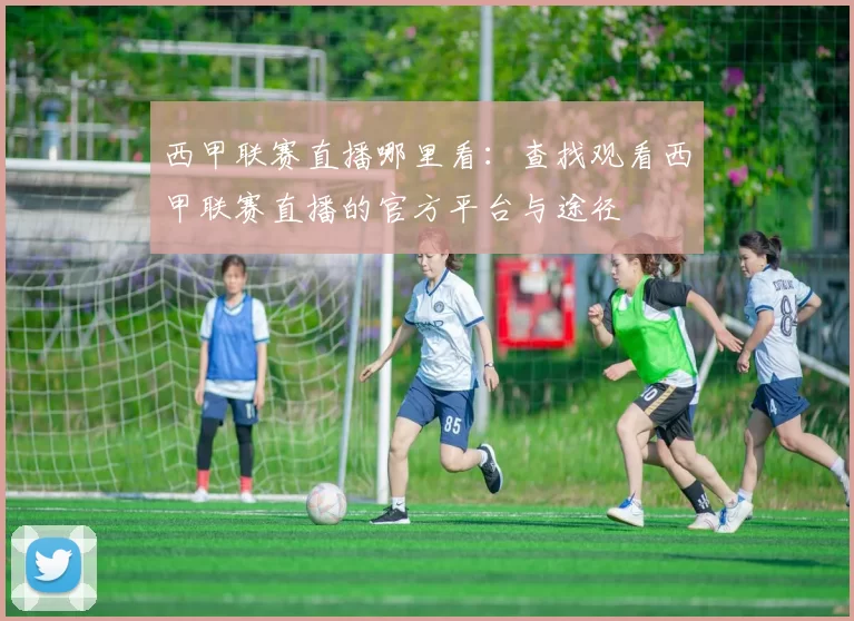 西甲联赛直播哪里看：查找观看西甲联赛直播的官方平台与途径