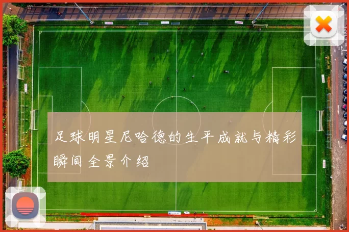 足球明星尼哈德的生平成就与精彩瞬间全景介绍