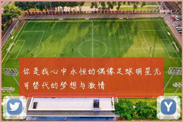 你是我心中永恒的偶像足球明星无可替代的梦想与激情