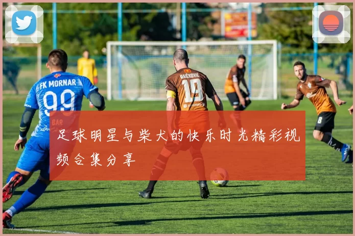 足球明星与柴犬的快乐时光精彩视频合集分享