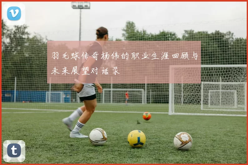 羽毛球传奇杨伟的职业生涯回顾与未来展望对话录